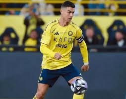 CBA强队对比分析