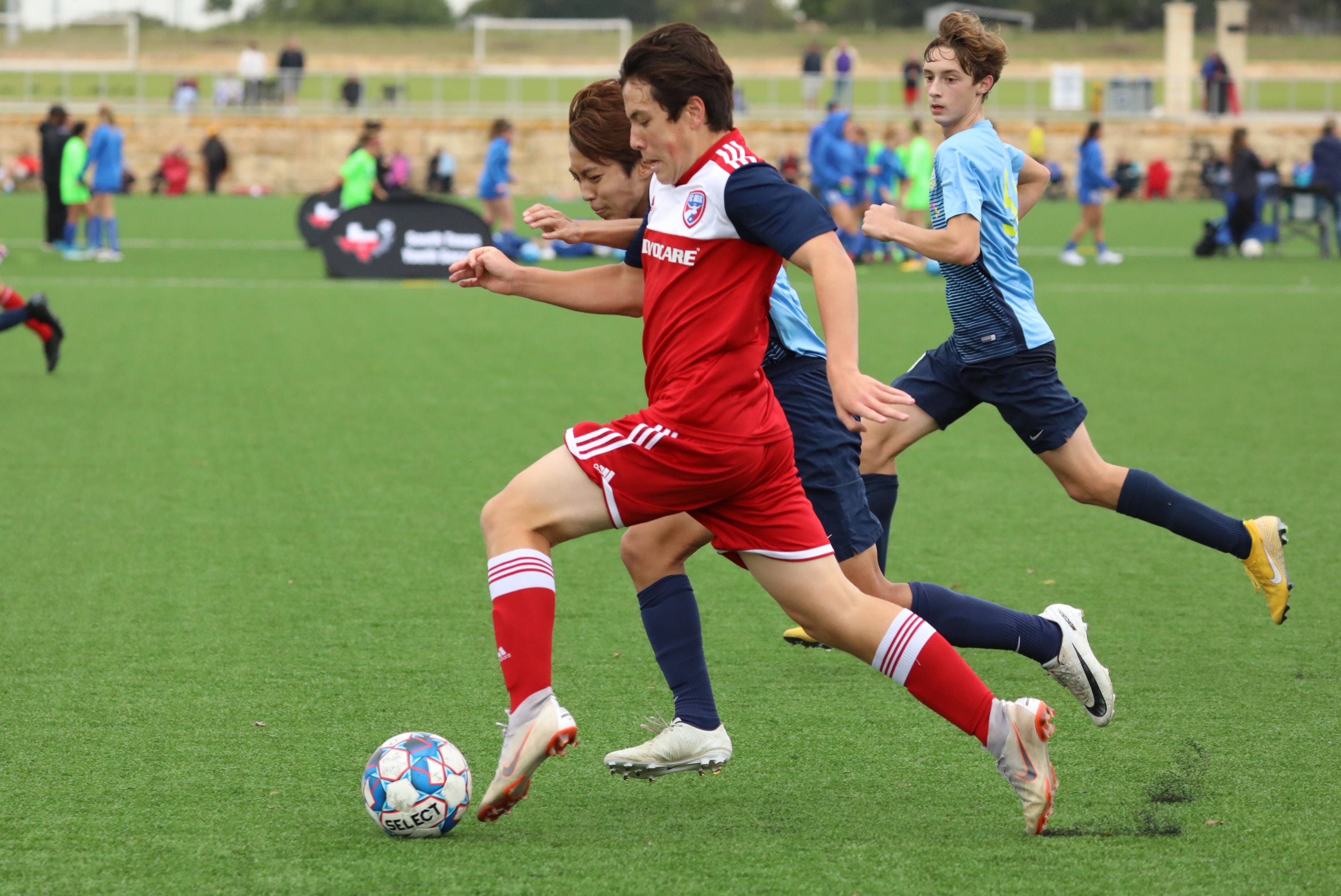 情可以查看 情可以查看