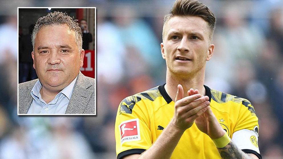 尼队内部对 尼队内部对